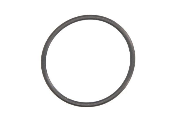 Brandstofpomp pakking/afdichting
