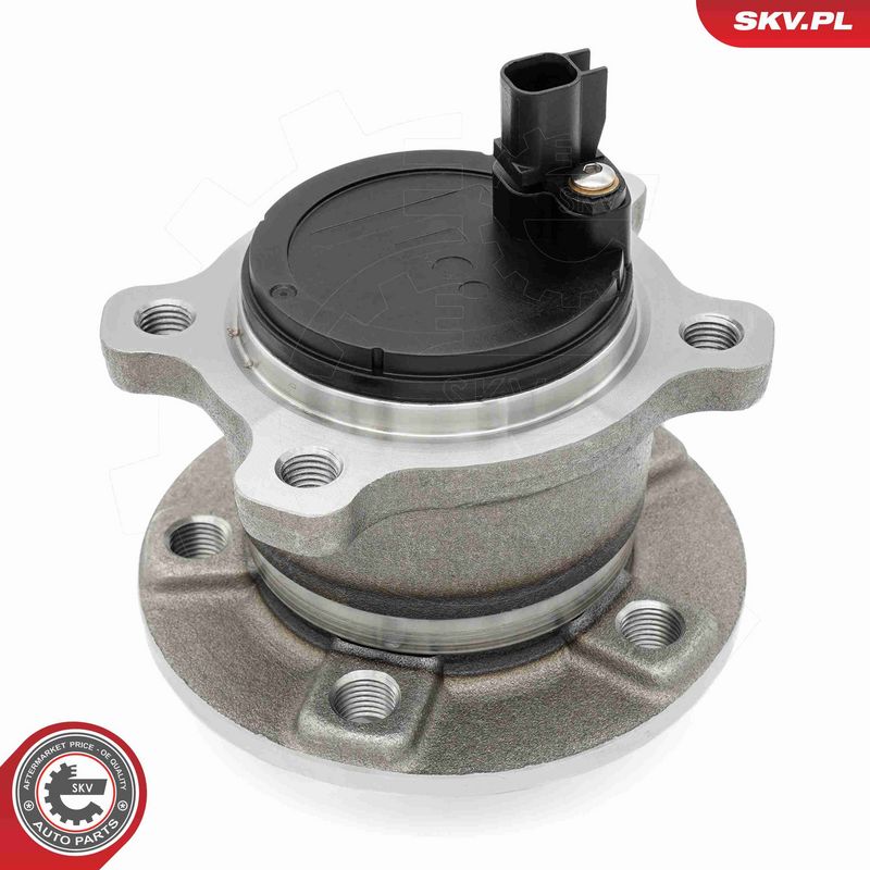 ESEN SKV 29SKV691 Wheel Bearing Kit