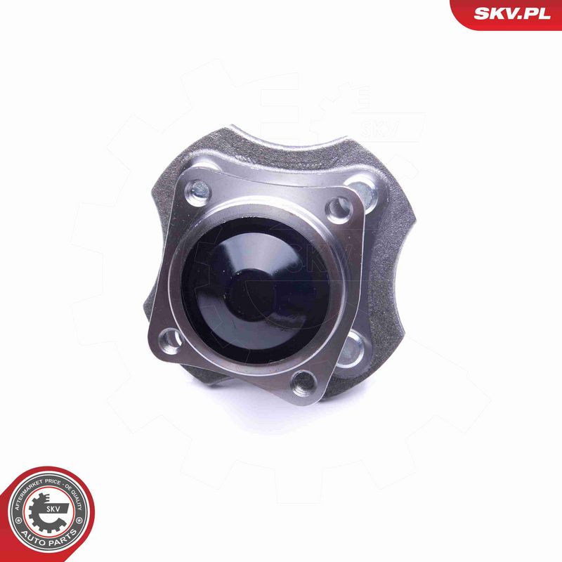 ESEN SKV 29SKV231 Wheel Bearing Kit