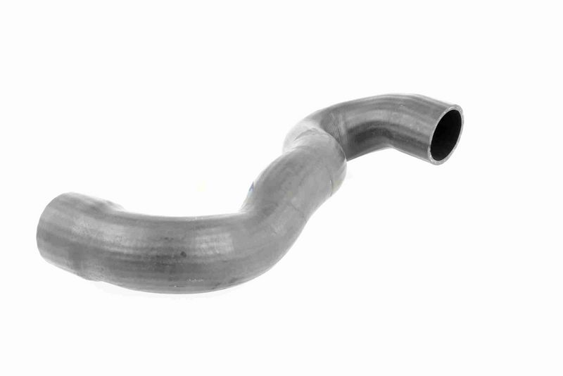 VAICO V42-0599 Charge Air Hose