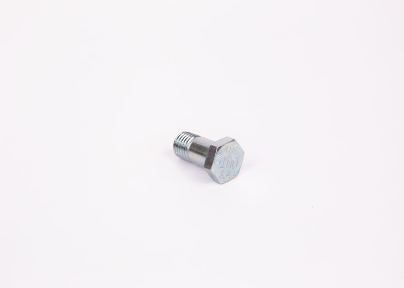 Surub 1 463 456 344 BOSCH