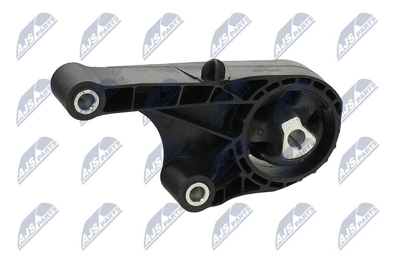 Paigutus, Mootor, NTY ZPS-PL-020
