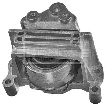 BEM4049_210834.JPG