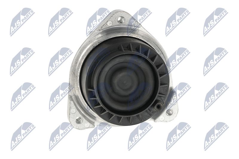 Paigutus, Mootor, NTY ZPS-BM-048