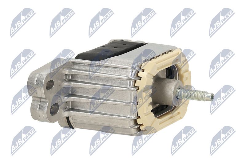 Paigutus, Mootor, NTY ZPS-PE-033