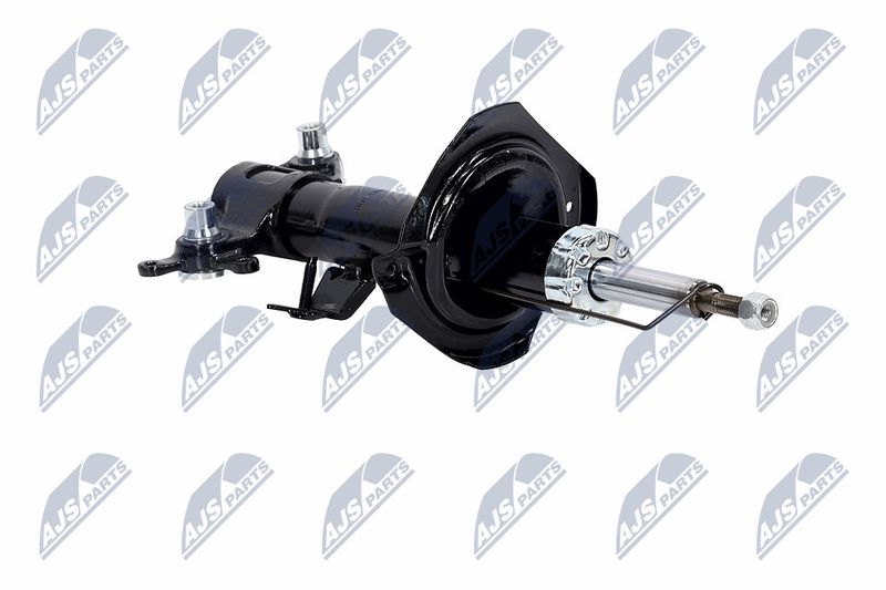 Amort, NTY A-NS-016