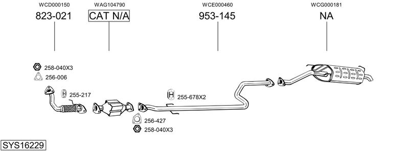 SYS16229.JPG