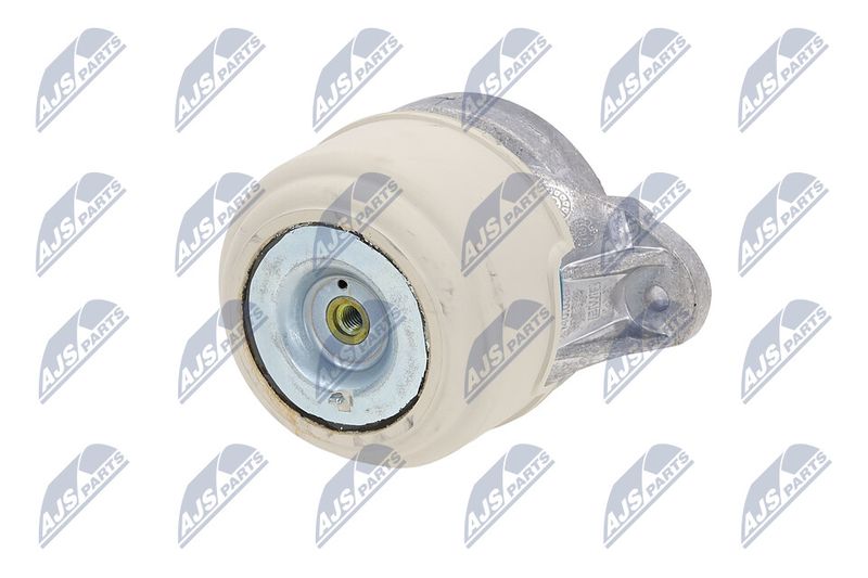 Paigutus, Mootor, NTY ZPS-ME-038