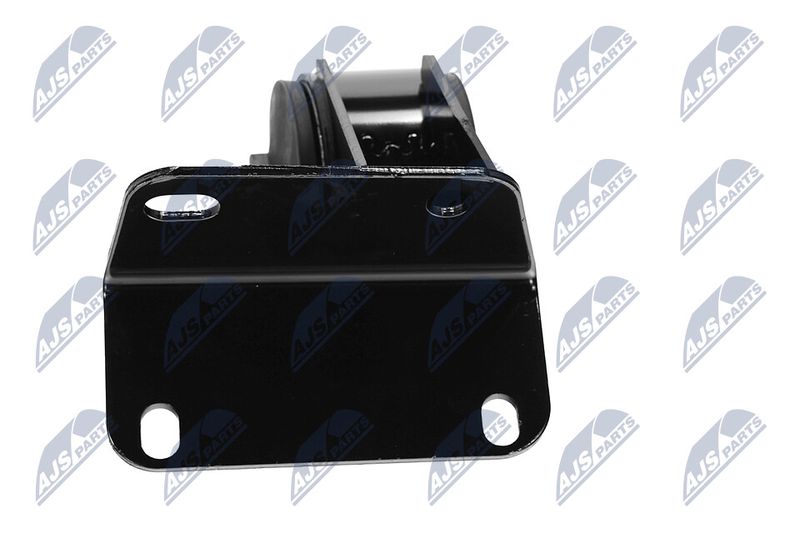 Paigutus, Mootor, NTY ZPS-CH-036