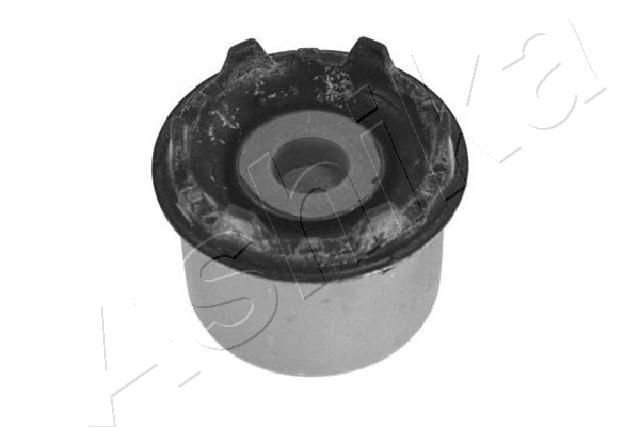 GOM-K117_1.JPG