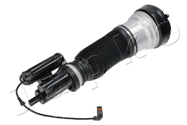 MJAS118_1.JPG