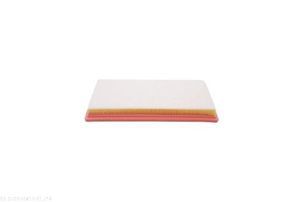 AUTOMEGA 250050810 Air Filter