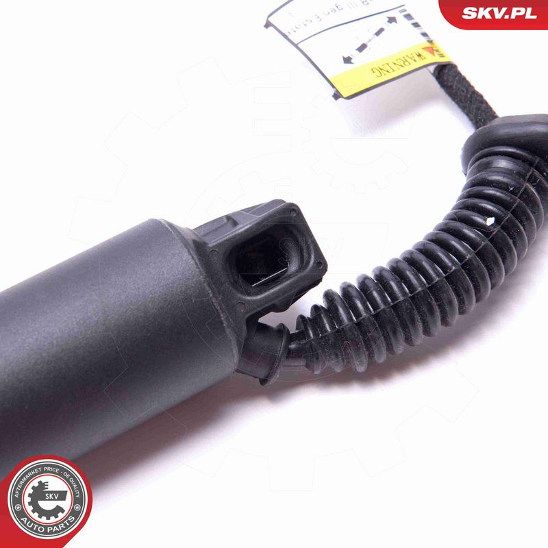 ESEN SKV 52SKV943 Electric Motor, tailgate