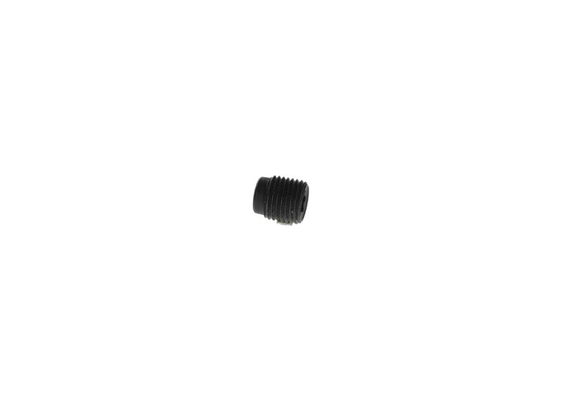 Surub F 00N 201 507 BOSCH