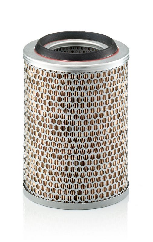 MANN-FILTER C17217 - Oro filtras