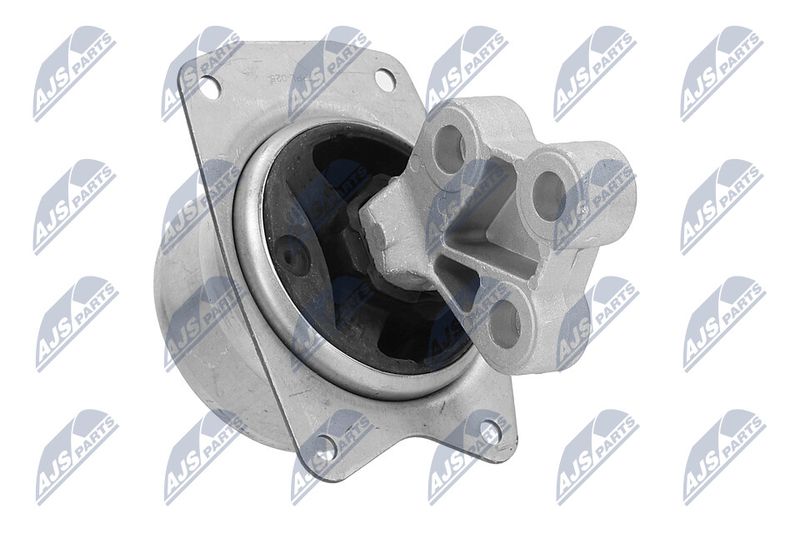 Paigutus, Mootor, NTY ZPS-PL-025