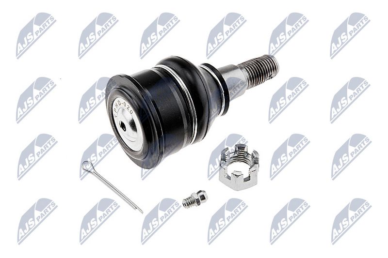 Kande-, juhtliigend, NTY ZSD-HD-020