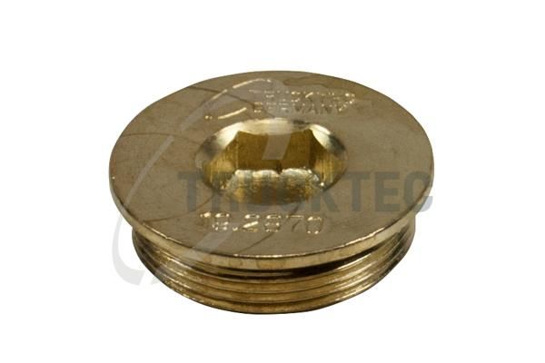 TRUCKTEC AUTOMOTIVE 03.67.004 - Screw Plug, crankcase
