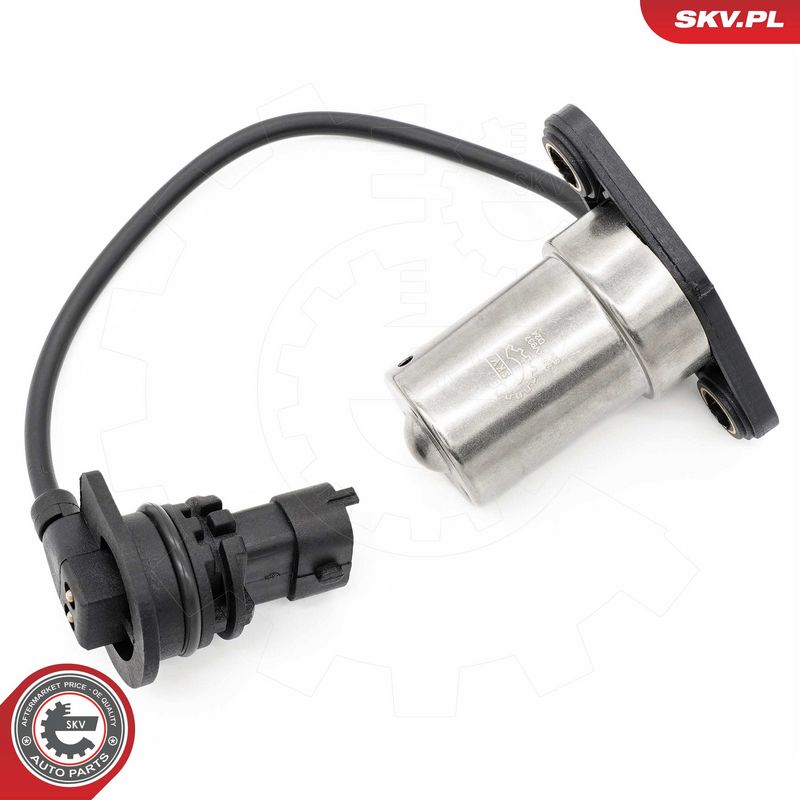 Andur, Mootoriõlitase, ESEN...