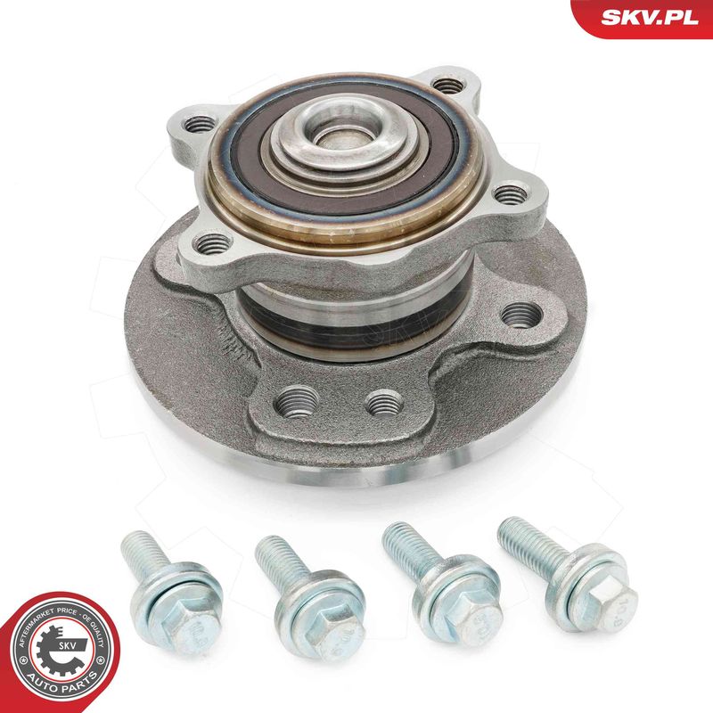 ESEN SKV 29SKV625 Wheel Bearing Kit