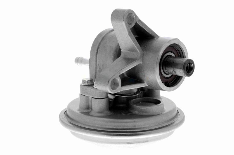 VAICO V25-1908 Mounting, engine