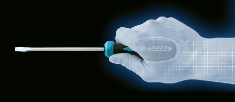 HAZET 802-T15H Screwdriver