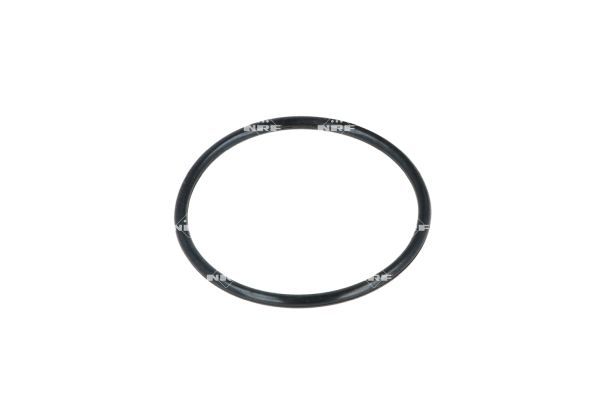 NRF 725077 Thermostat, coolant