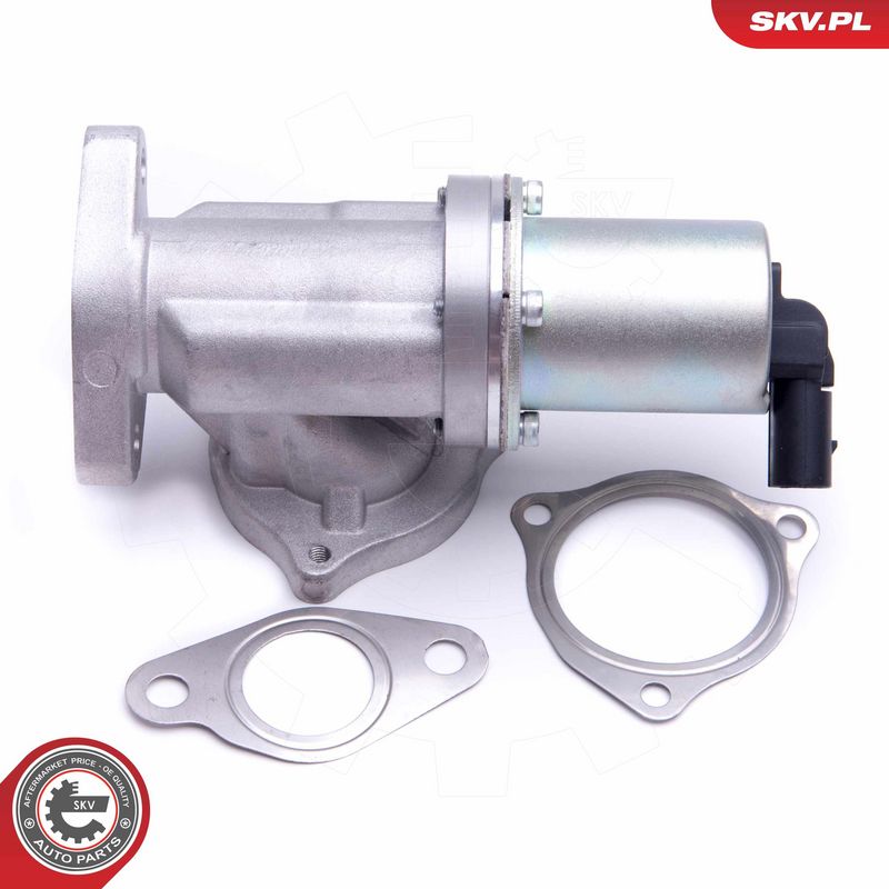 EGR-klapp, ESEN SKV 14SKV209