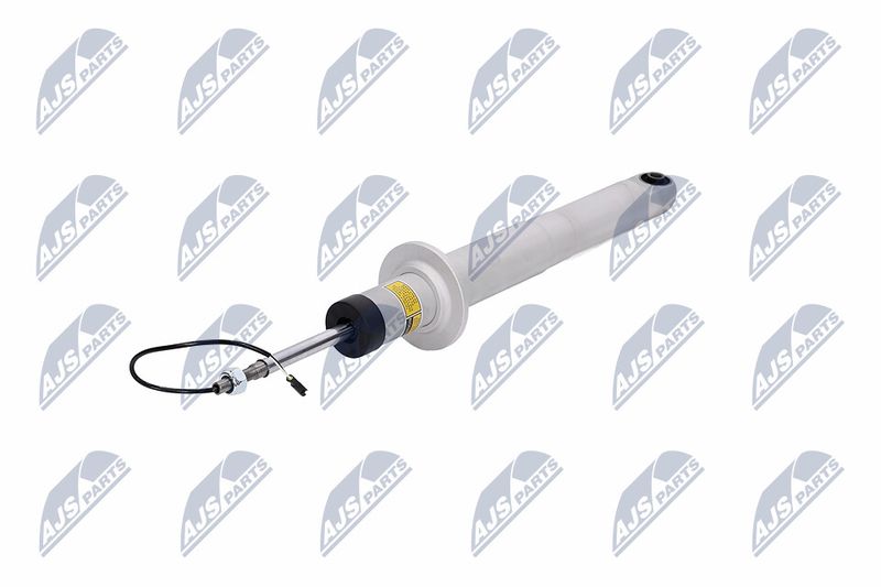 Amort, NTY A-MA-003