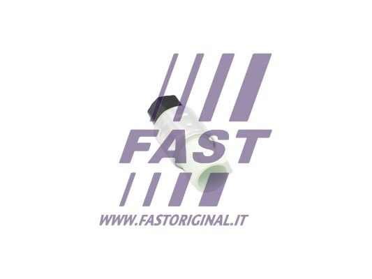 FT59301_2_1.JPG
