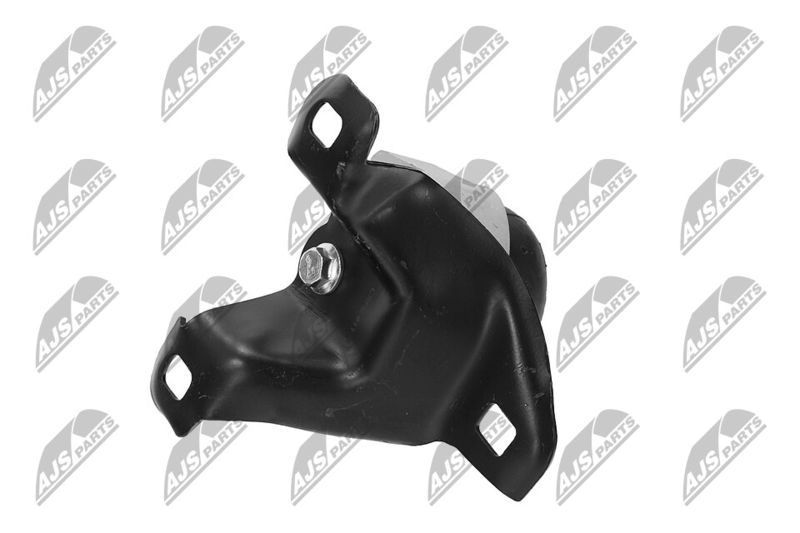 Paigutus, Mootor, NTY ZPS-FR-011