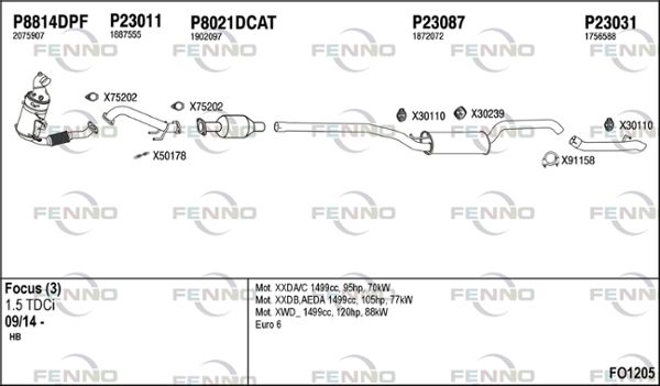 FO1205.JPG