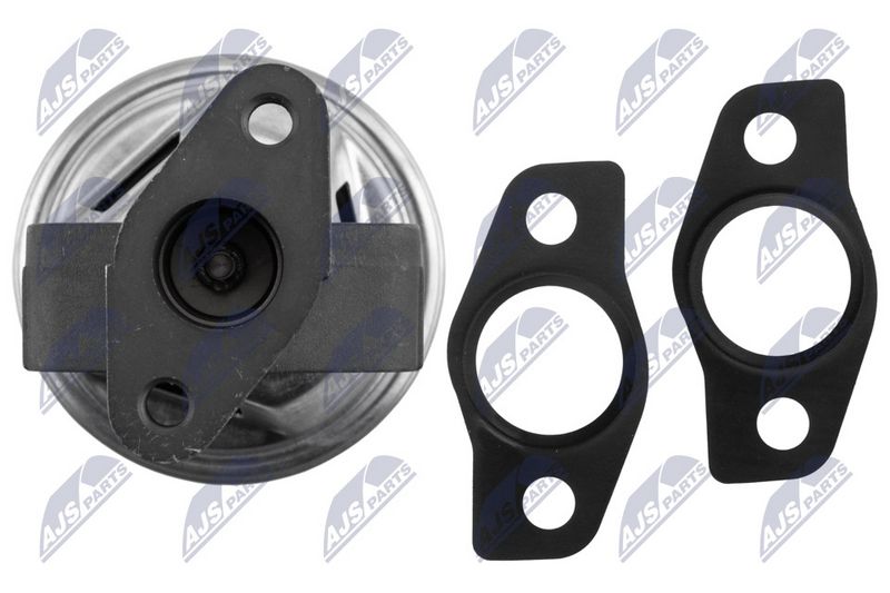 NTY EGR-FR-040 EGR Valve