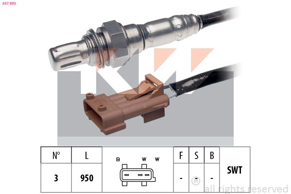 497 890-KW.JPG