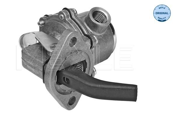 FS_12340090003_2.JPG