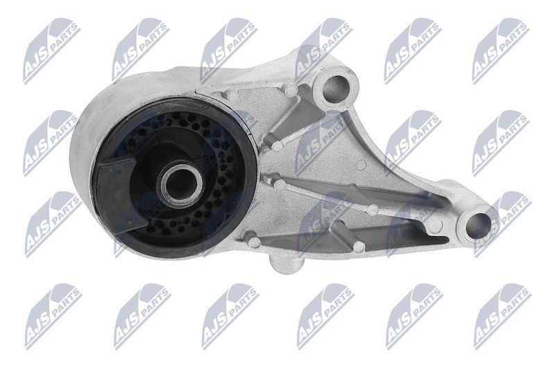 Paigutus, Mootor, NTY ZPS-PL-069