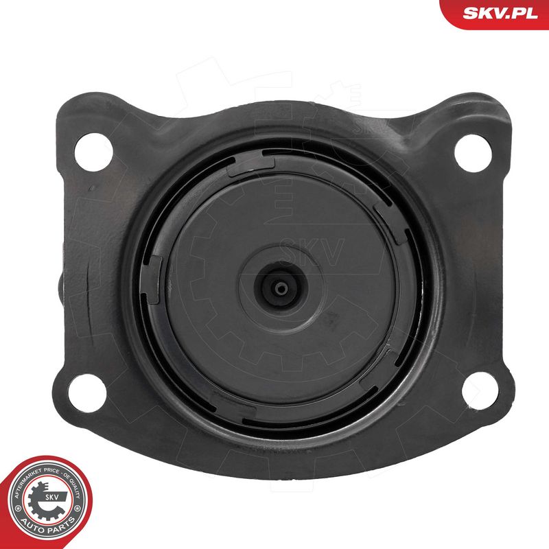 Paigutus, Mootor, ESEN SKV 75SKV319