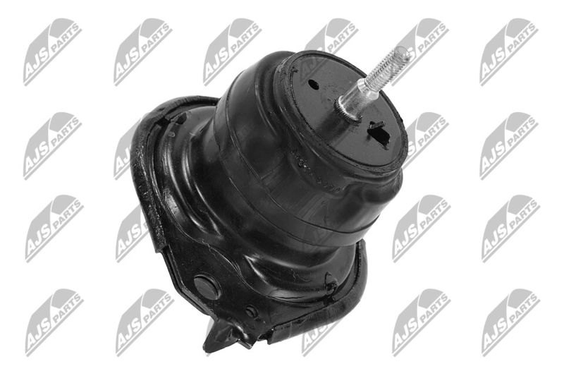 Paigutus, Mootor, NTY ZPS-CH-091