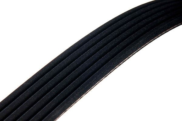 STELLOX 96-00955-SX V-ribbed Belt