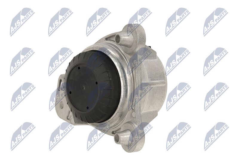 Paigutus, Mootor, NTY ZPS-ME-065