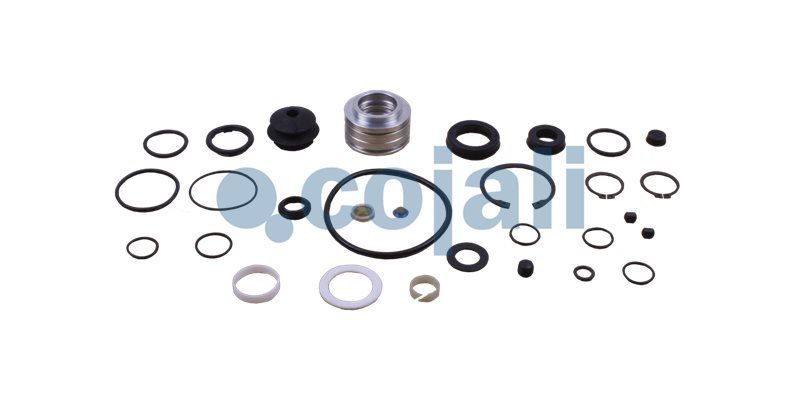 Set reparatie, servofrana COJALI 6012231