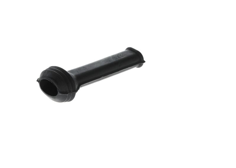 Capac 1 250 703 001 BOSCH