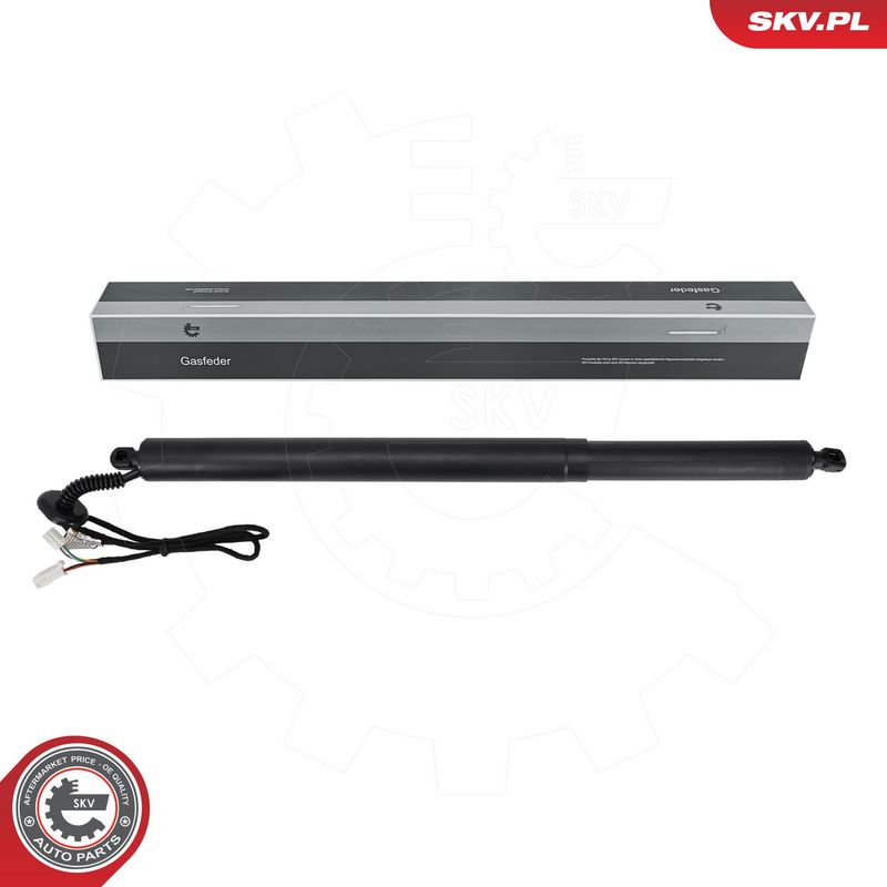 Elektrimootor, tagaluuk, ESEN SKV 52SKV878