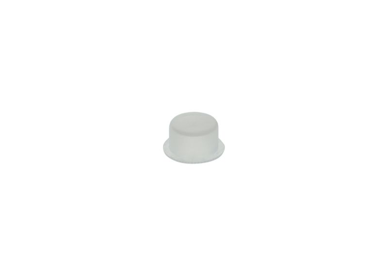 Capac 1 900 508 011 BOSCH