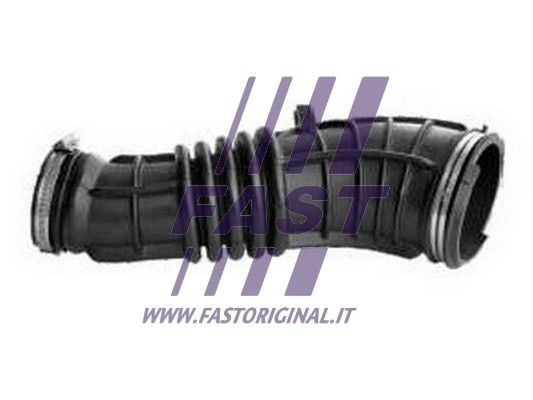 FT61505_1_1.JPG