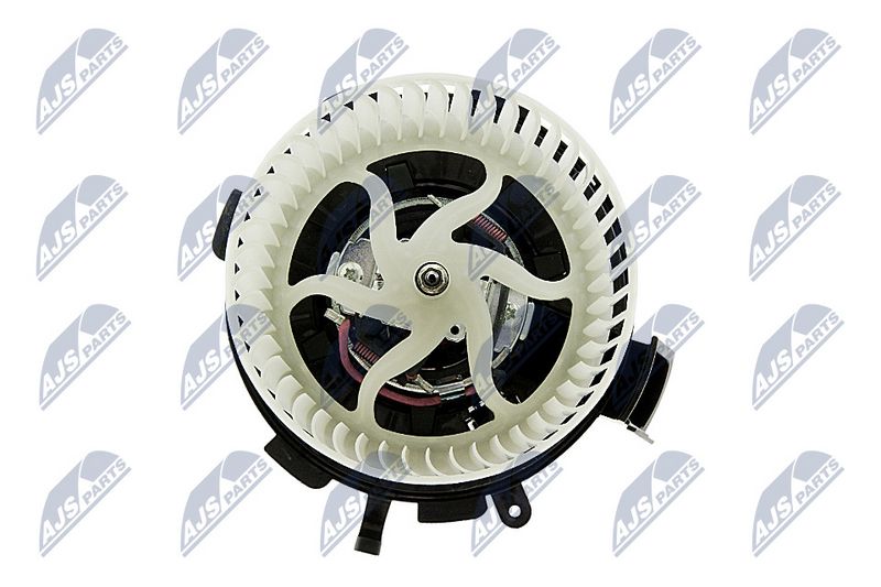 Salongipuhur, NTY EWN-ME-003