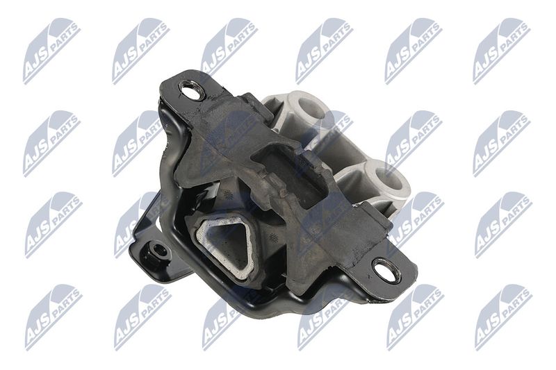 Paigutus, Mootor, NTY ZPS-FT-038