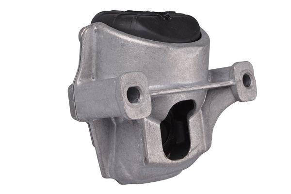 TEDGUM 00058470 Mounting, engine