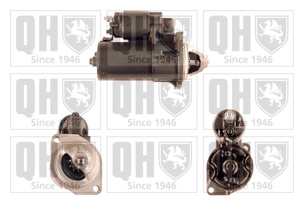 QH_QRS1848_GRUPPE.JPG