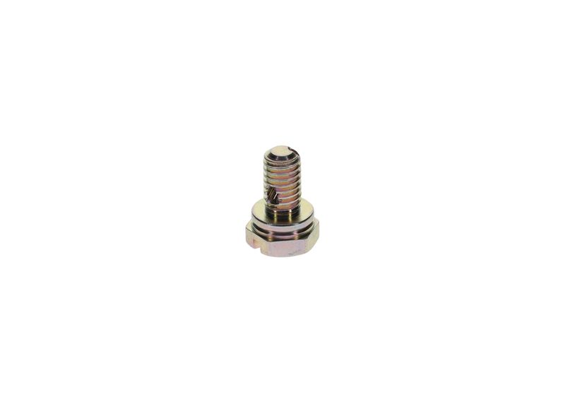 Surub 1 413 453 025 BOSCH